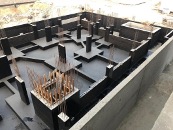 Phase 8